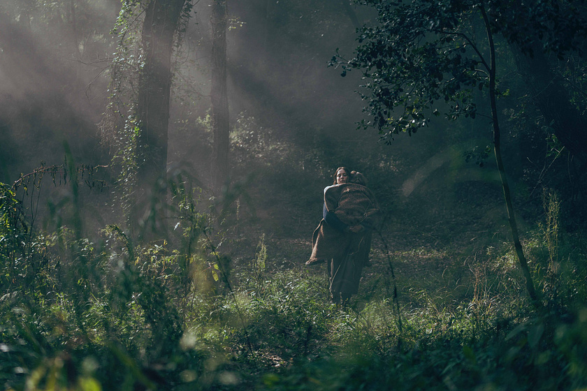 Imagen de el-nido-2026