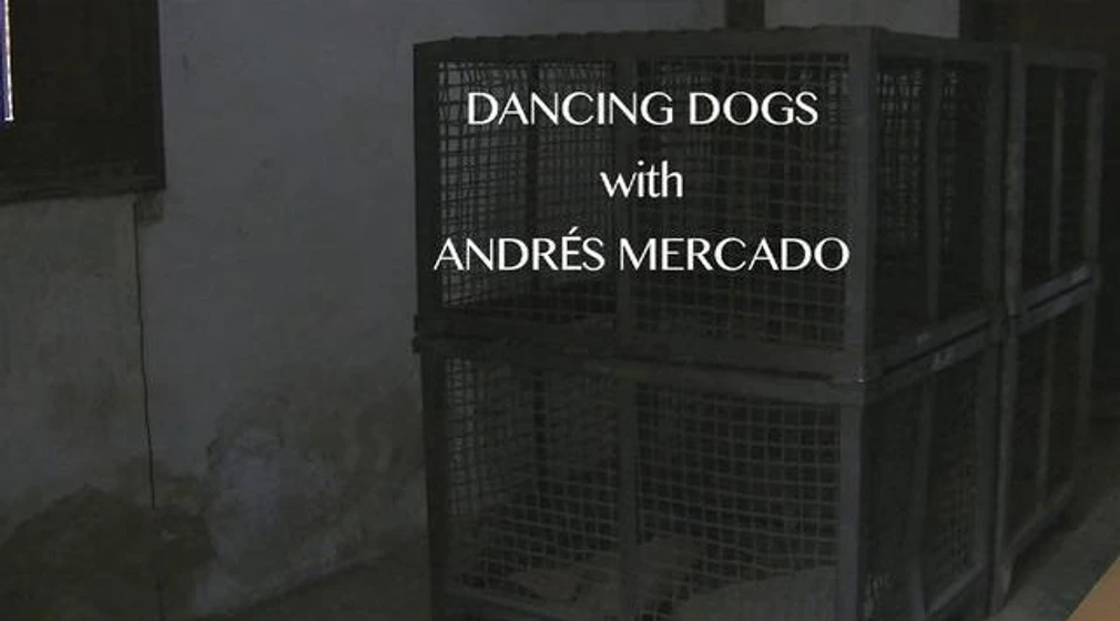Imagen de dancing-dogs (Títulos de crédito)