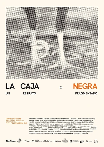 Poster de La caja negra