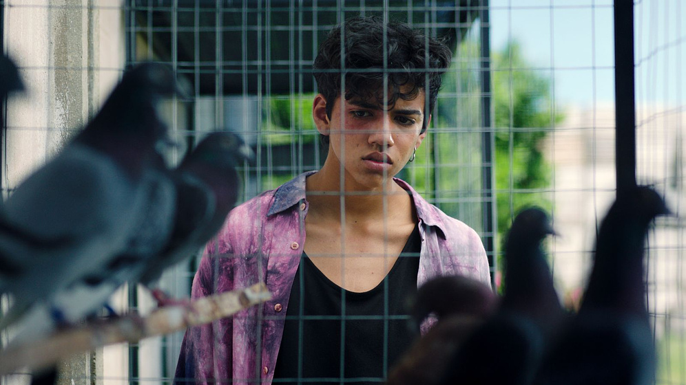 Imagen de Keep Coming Back