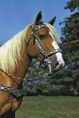 Foto de Trigger