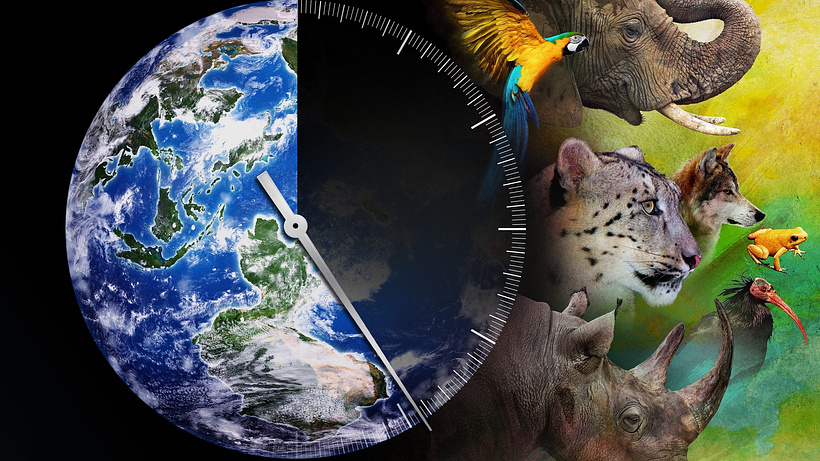 Imagen de Racing Extinction