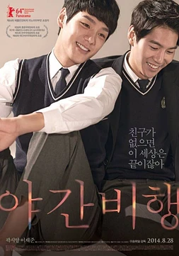 poster of movie Night Flight