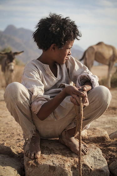 Jacir Eid Al-Hwietat en Lobo