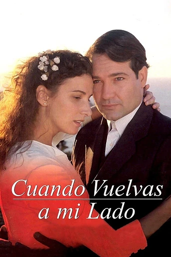 Poster de Cuando vuelvas a mi lado