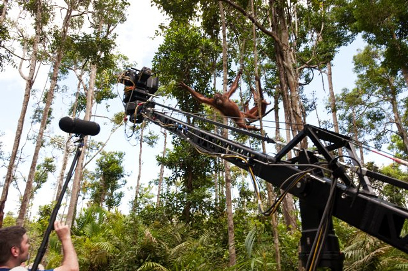 Imagen de Born to Be Wild