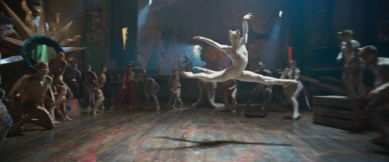 Imagen de cats