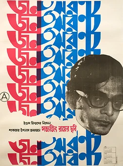 poster of movie The Middleman