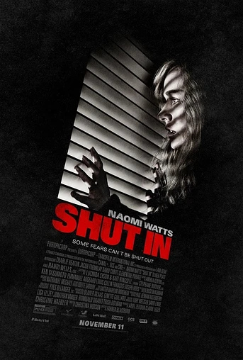 Poster de Shut In