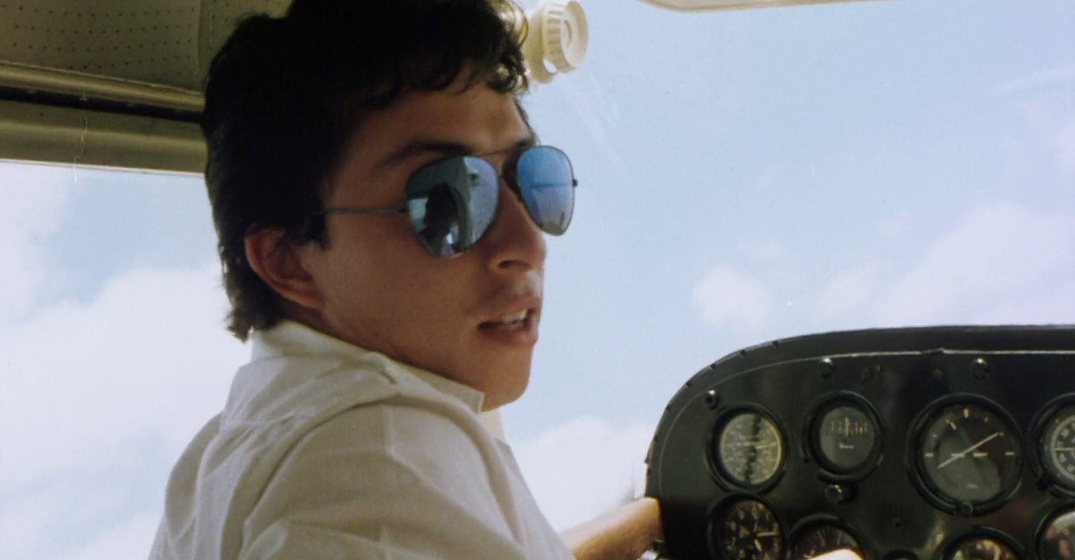 Imagen de El Ataque de los Pájaros