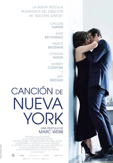 Imagen de cancion-de-nueva-york (Cartel español)