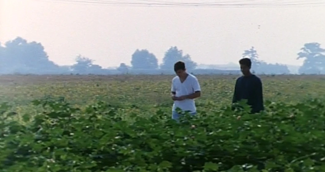 Imagen de the-delta