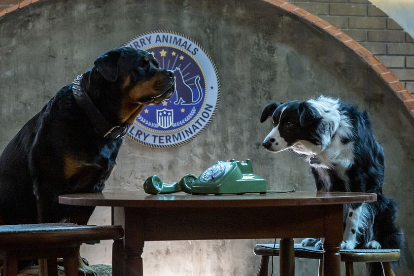 Imagen de Como Perros y gatos. La Patrulla Unida