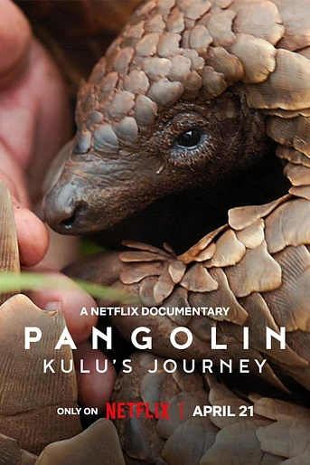 Poster de Pangolín: El viaje de Kulu
