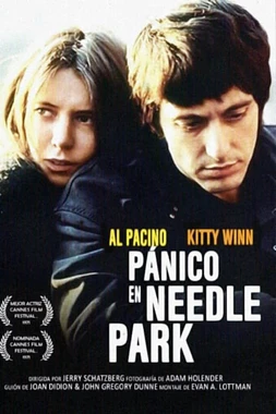 poster of movie Pánico en Needle Park