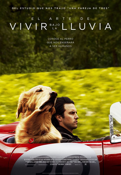 Imagen de El Arte de vivir bajo la lluvia (Cartel teaser español)