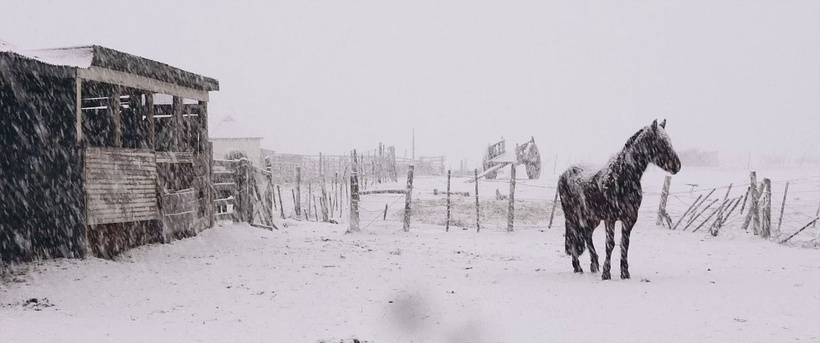 Imagen de Al Sur del Invierno está la nieve