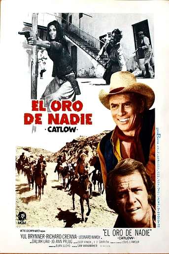 Poster de El Oro de Nadie