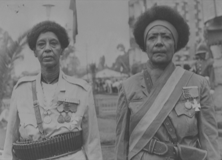 Imagen de Black Lions - Roman Wolves