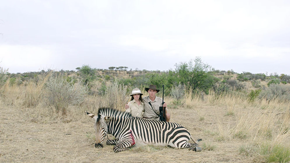 Imagen de safari