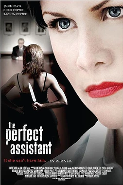 poster of movie La ayudante perfecta