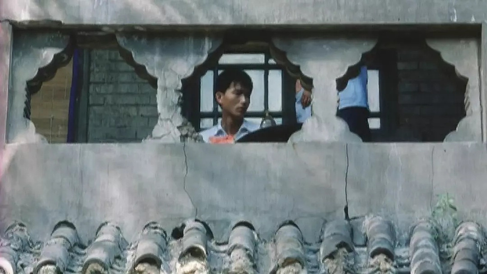 Imagen de peacock-2005