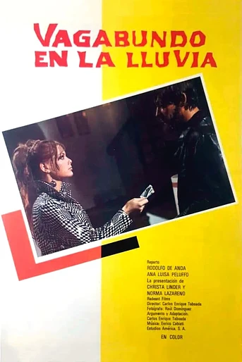 Poster de Vagabundo en la lluvia
