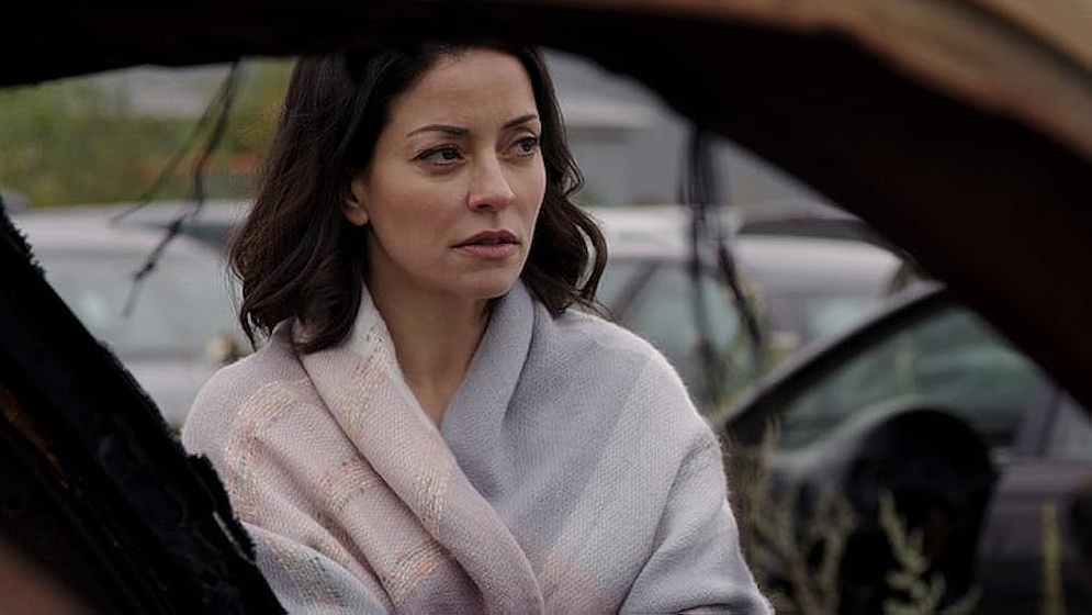 Emmanuelle Vaugier en una-vida-en-el-engano