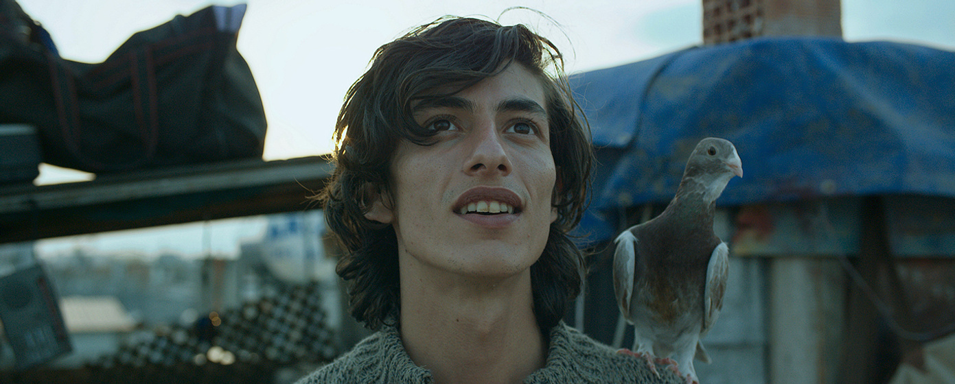 Kemal Burak Alper en the-pigeon