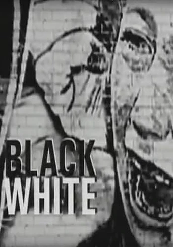 Poster de Blackwhite. Donde los polos se tocan