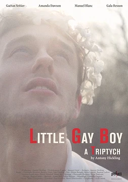 poster of movie Little Gay Boy
