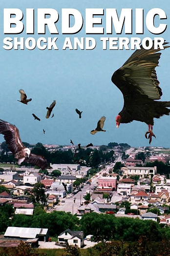poster of content Birdemic: Shock and Terror