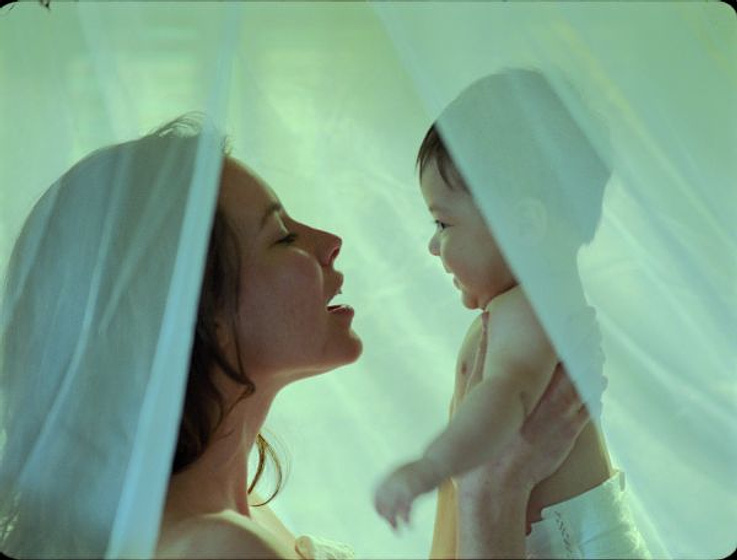 Evangeline Lilly en Premonición