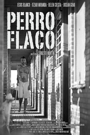 Poster de Perro Flaco