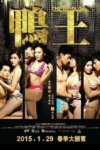 Poster de The Gigolo