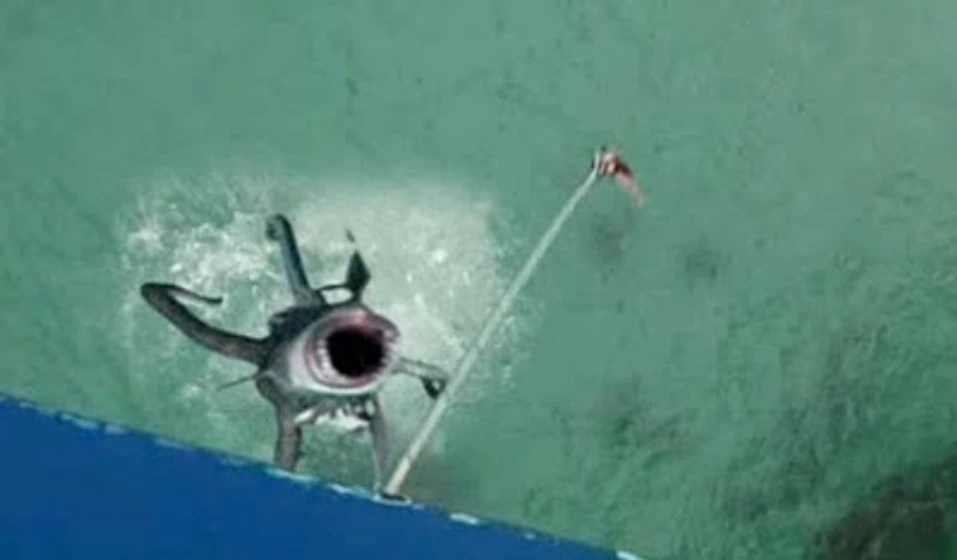 Imagen de sharktopus