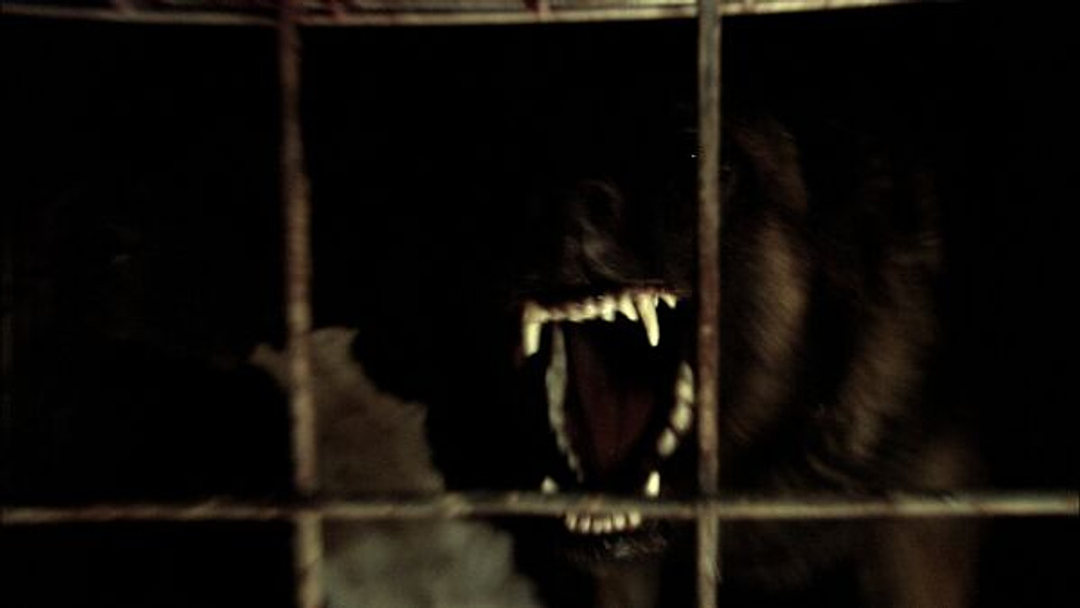 Imagen de Wolf Creek