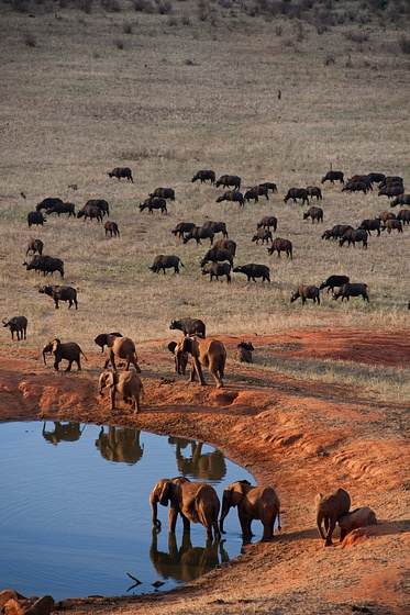 Imagen de Born to Be Wild