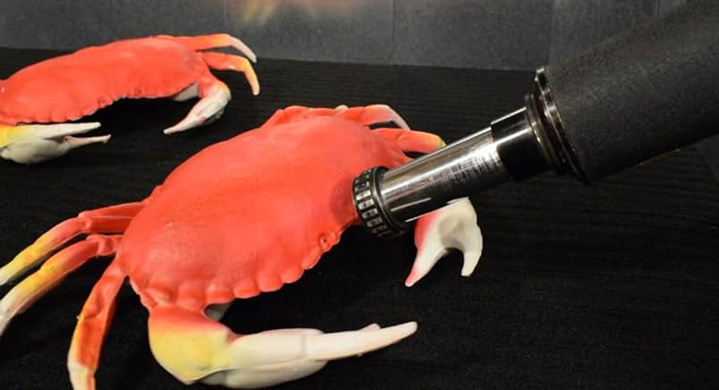 Imagen de Cocaine Crabs From Outer Space
