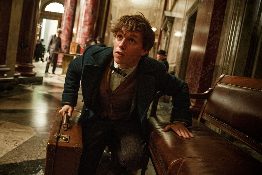 Eddie Redmayne en Animales fantásticos y dónde encontrarlos