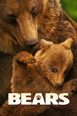 poster of movie Bears