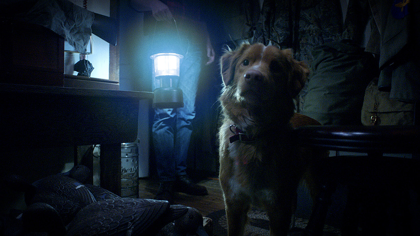 Imagen de Good Boy