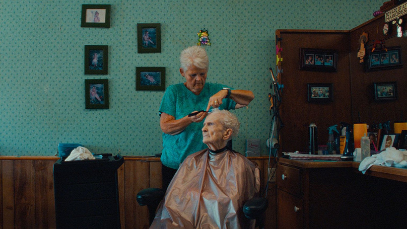 Imagen de The Bulldogs