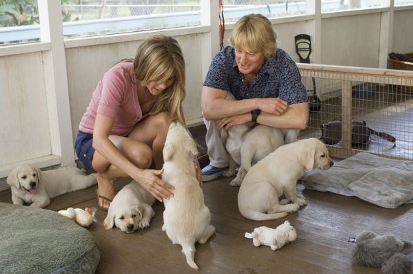 Owen Wilson y Jennifer Aniston en Una Pareja de tres
