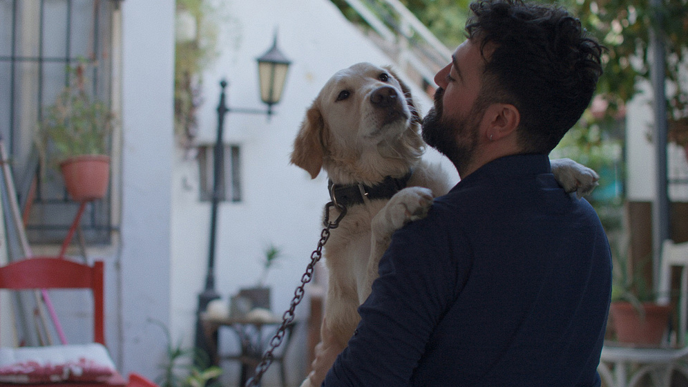 Imagen de home-bitter-home