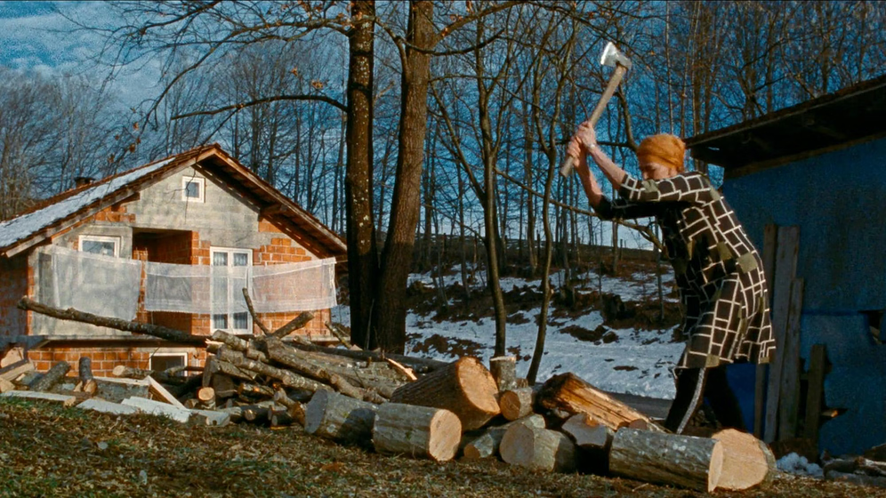 Imagen de The Landscape and the Fury