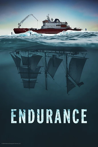 Poster de Endurance