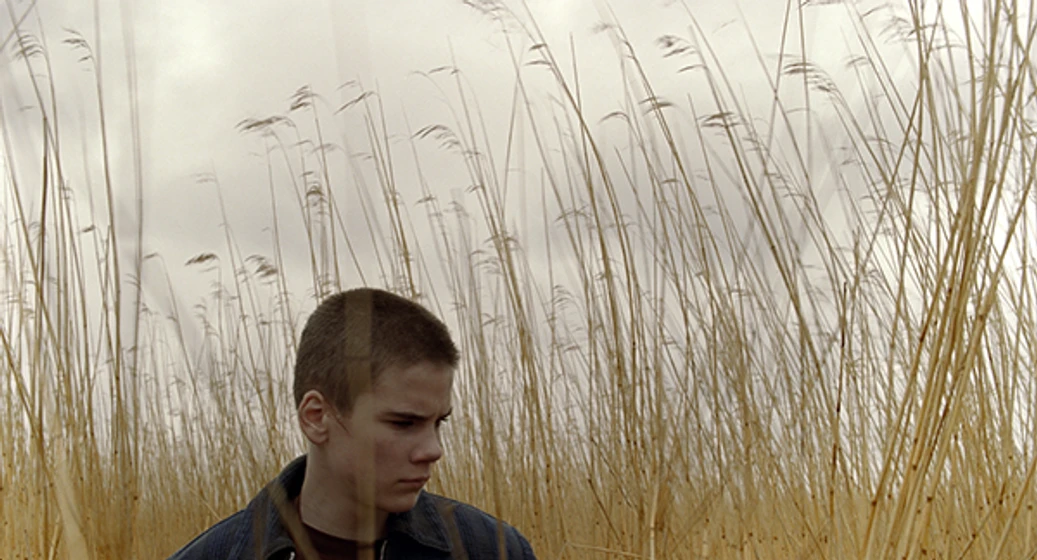 Imagen de ravens