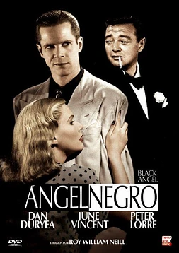 poster of movie Ángel negro