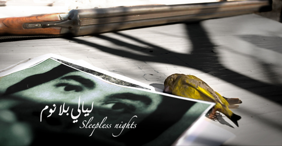 Imagen de Sleepless nights